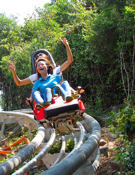 Gatlinburg Mountain Coaster - Family-Friendly Roller Coaster | Smokey mountains vacation ...