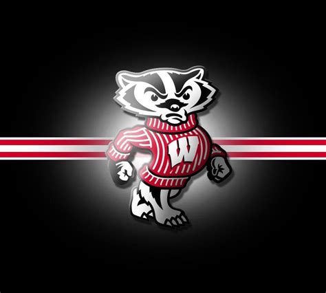 Wisconsin Badgers Wallpapers - Top Free Wisconsin Badgers Backgrounds ...