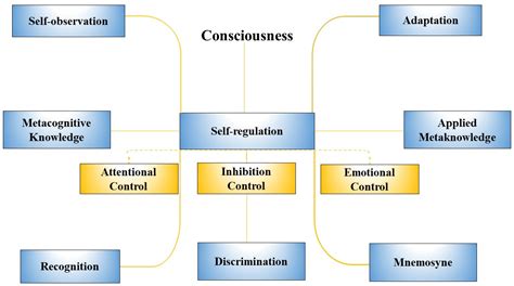 Sustainability | Free Full-Text | Meta-Learning: A Nine-Layer Model ...