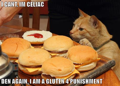 Lolcats - puns - LOL at Funny Cat Memes - Funny cat pictures with words on them - lol | cat ...