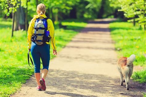 Summer Dog Walking Safety Tips in Frederick - Woofin' It Dog Walking