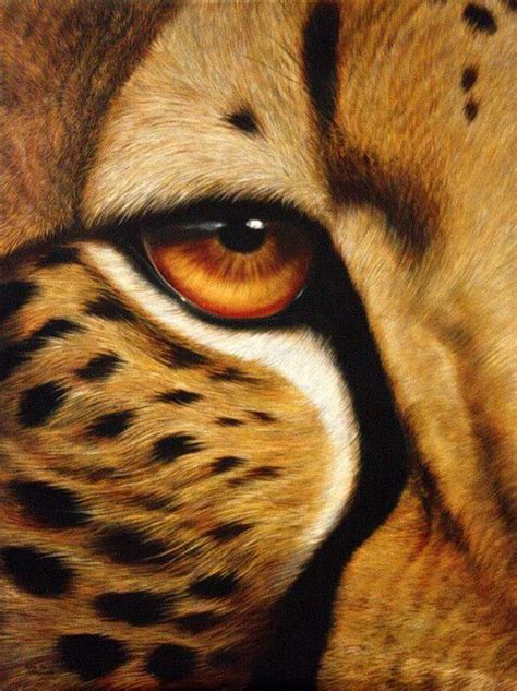 Eye of the Cheetah- A Painting | Animal paintings, Animal photography ...