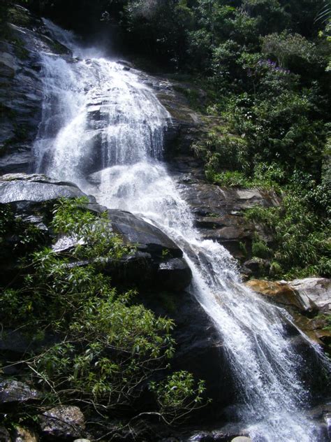 TIJUCA FOREST - AN URBAN FOREST IN THE HEART OF RIO! - Free Walker Tours