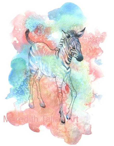 Baby Zebra Painting Original Watercolor by MeredithTalianArt