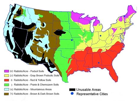 USA map with soil types and average production of rabbits per acre ...