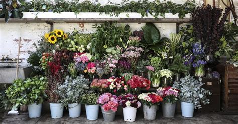 Eleven of Melbourne’s Best Florists - Broadsheet