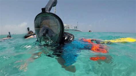 Snorkeling in Aruba 2017! - YouTube