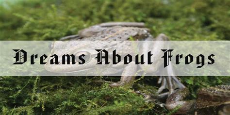 15 Dreams About Frogs – Meaning & Interpretation