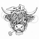 Coloring Pages Of Highland Cows sketch template
