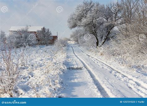 Snowy Winter Landscape in Ukrainian Village Stock Image - Image of earth, january: 125731523