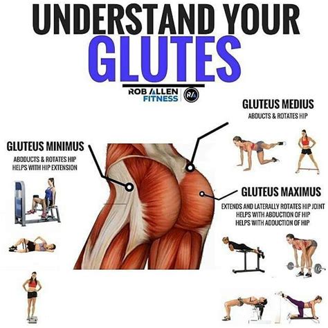 Understand your glutes Butt Workout Gym, Sixpack Abs Workout, Ab Workout At Home, At Home ...