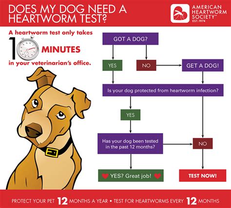 Do I Have To Give My Dog Heartworm Medicine