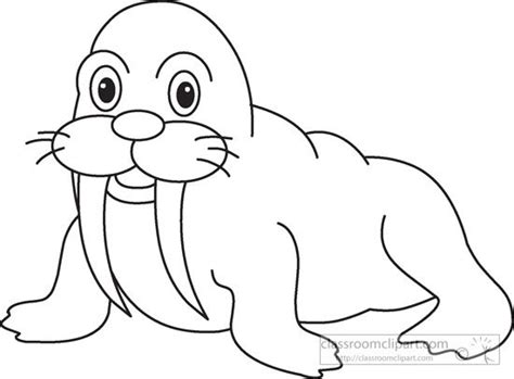 Animals : walrus-marine-life-black-white-outline-049 | Butterfly coloring page, Coloring pages ...