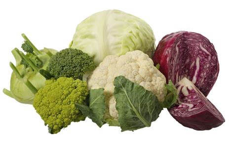 Different Cabbage Varieties Stock Image - Image of isolated, brassica: 10116341