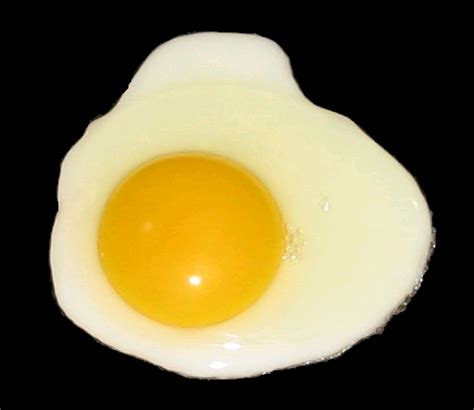 File:Fried egg, sunny side up (black background).PNG - Wikipedia, the free encyclopedia