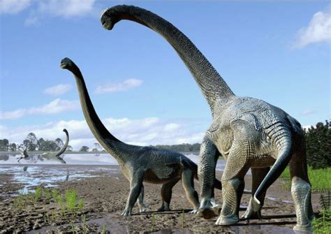 New Cretaceous dinosaur from Queensland: Australian researchers shed light on global sauropod ...