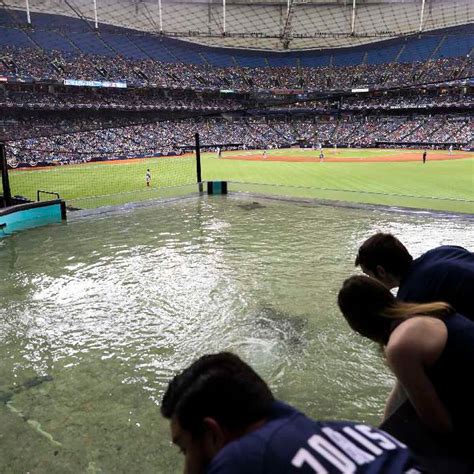 Tampa Bay Rays Seating Chart With Seat Numbers | Cabinets Matttroy