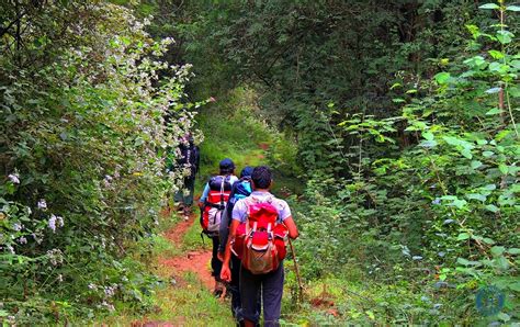 6 Gorgeous Trails For Trekking In Munnar