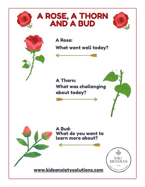 A Mindful Way to Reflect: A Rose, A Thorn and A Bud - Etsy