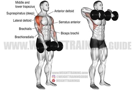 Dumbbell rear lunge exercise instructions and video | Weight Training Guide