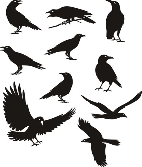 Crow silhouette black color illustration 3442686 Vector Art at Vecteezy