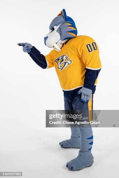 Nashville Predators Mascot Photos and Premium High Res Pictures - Getty Images