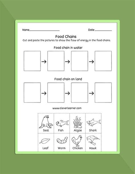 Food Chain, Food Web, Ecosystems Printables and Worksheets for Preschool and Kindergarten # ...