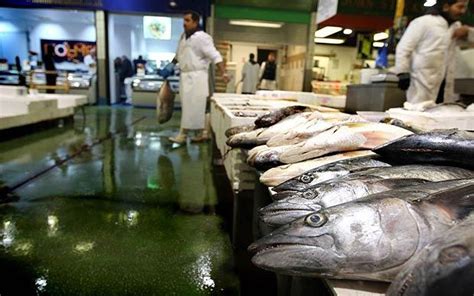 The Fish Market: Inside Billingsgate, BBC Two, review - Telegraph