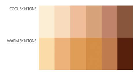 Skin Tone Chart - Find Your Color and Foundation - Skin Care Geeks