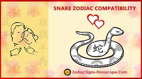 Snake Compatibility, Love and Marriage - Chinese Zodiac Compatibility