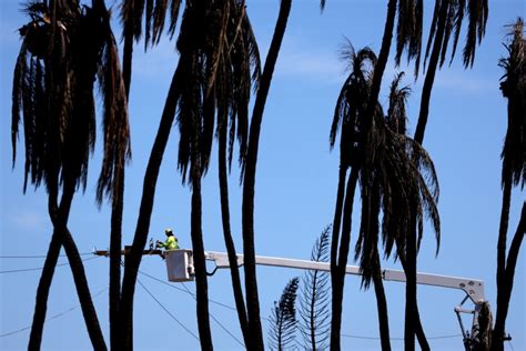 Maui County sues Hawaiian Electric over failure to shut off power lines despite warnings