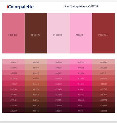 1 Latest Color Schemes with Irish Coffee And Lavender Pink Color tone combinations | 2023 ...