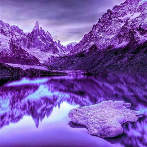 Beautiful Purple | All things purple