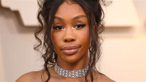 Sza Oscars 2019 Hair is an Elevated Version of the Messy Bun | StyleCaster