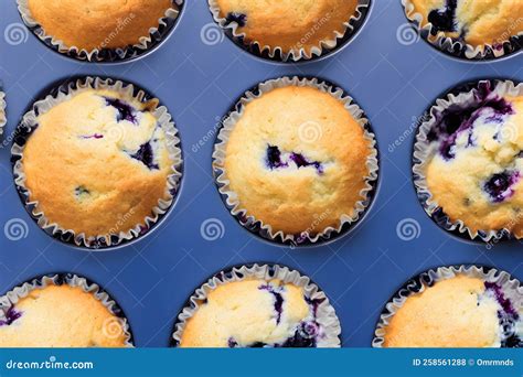 Juicy and Yummy Blueberry Muffins, a High Calorie Baked Food , Sweet and Sugary Stock Photo ...