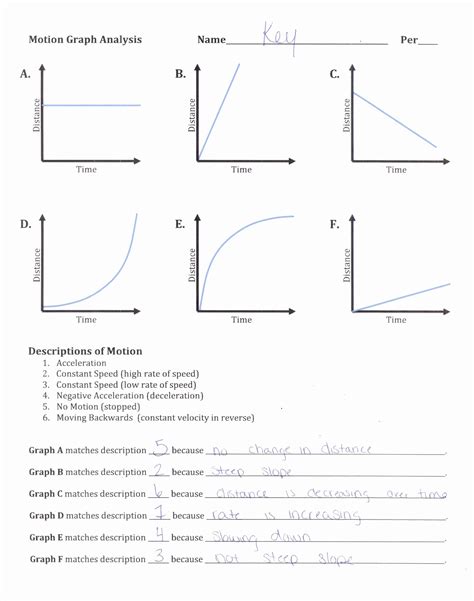 50 Motion Graphs Worksheet Answer Key