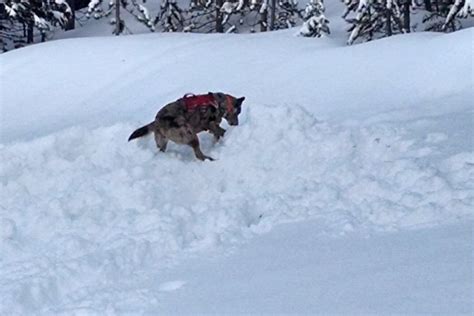 Big Sky Ski Weekend is Big Fun | Montana Council