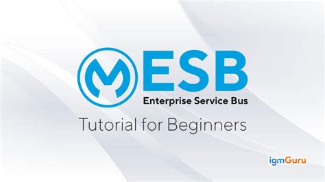 Mule ESB Tutorial for Beginners in 2024