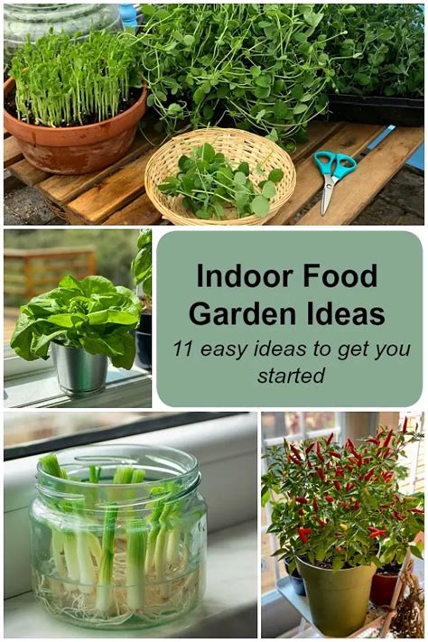 Indoor food garden ideas 11 easy vegetables and fruits to get you started – Artofit