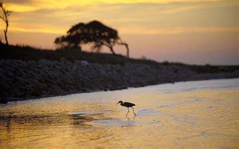 Set to Become a State Park, Powderhorn Ranch Is an Unspoiled Coastal ...