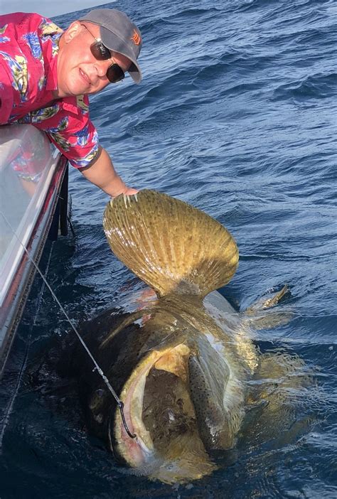 Goliath Grouper Fishing Clearwater FL | FishEye Sportfishing