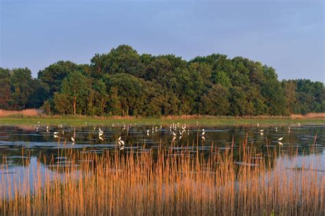 The Best Spots for Bird Watching in the U.S.