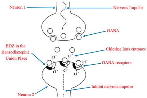 Benzodiazepines | Encyclopedia MDPI