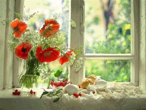 Pin by Gordana K. on Flowers | Pretty flowers, Flowers, Flower arrangements