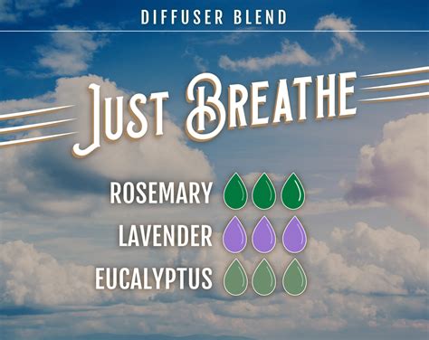 4 Rosemary Oil Diffuser Blends to Boost Your Brain - The Dropologist ...