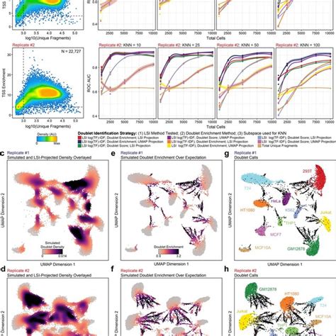 Integration of scATAC-seq and scRNA-seq data by ArchR identifies gene ...