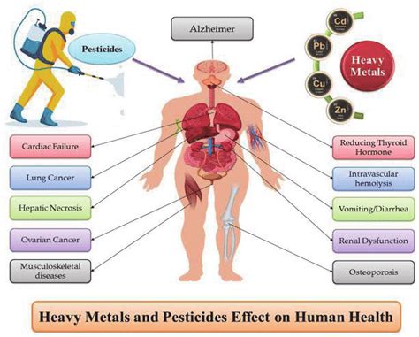 Effect of pesticides on human health 1. | Download Scientific Diagram