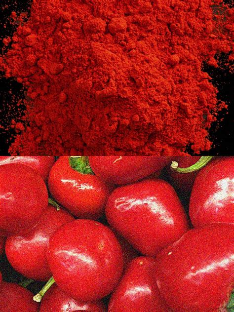 Your Smoked Spanish Paprika Comes From My Corner of Spain | Saveur