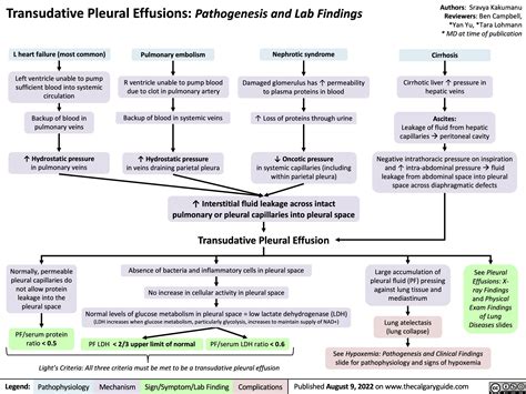 Pleural Effusion Pathophysiology