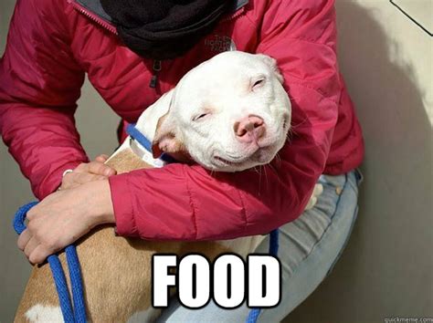 food - 10 Dog - quickmeme